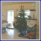 Weihnachtsbaum im Vereinsheim